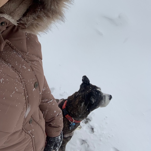 Meet your Posher, K - Picture 2 of 2